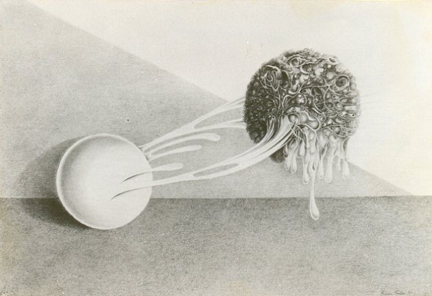 Metamorfosis II
